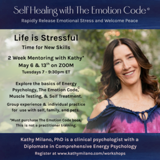 Mentoring Emotion Code