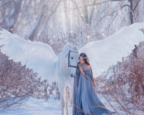 young beautiful woman goddess stroking mythical Pegasus, white magic wings. Brunette Long flowing hair wig. medieval princess vintage clothing cape. elf silver diadem tiara. winter nature snowy forest