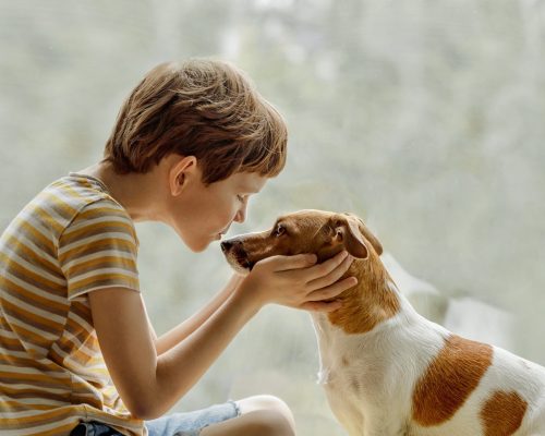 Child kisses the dog in nose on the window. Friendship, care, happy childhood concept.