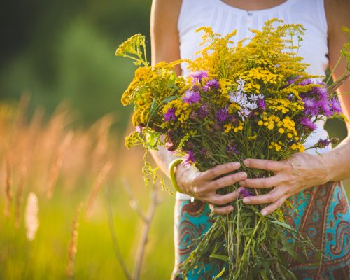 Beautiful bouquet of bright colorful wildflowers in the hands of a young girl walking in the field in the evening. Toning