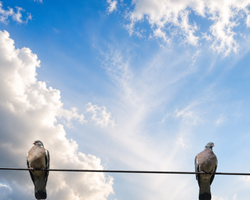 Living YourConvictions1