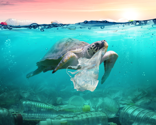 PlasticOcean