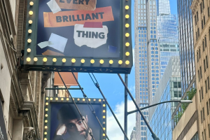 every brilliant thing