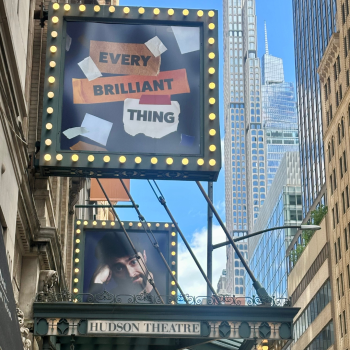 every brilliant thing