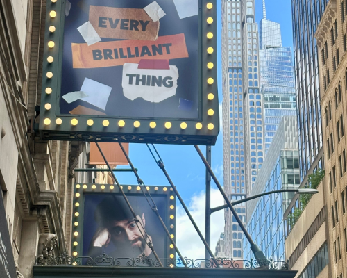 every brilliant thing