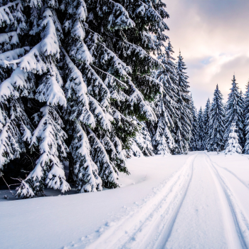 winter